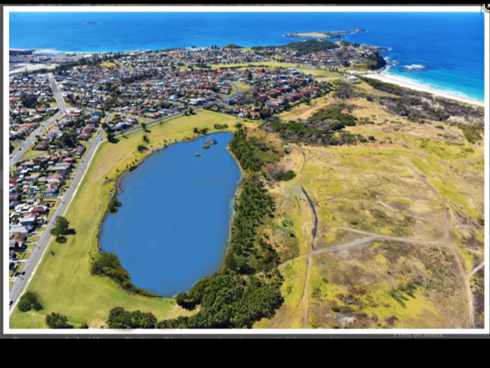 BUY 81 Parkes Street, Port Kembla, NSW 2505 House for Sale buymyplace