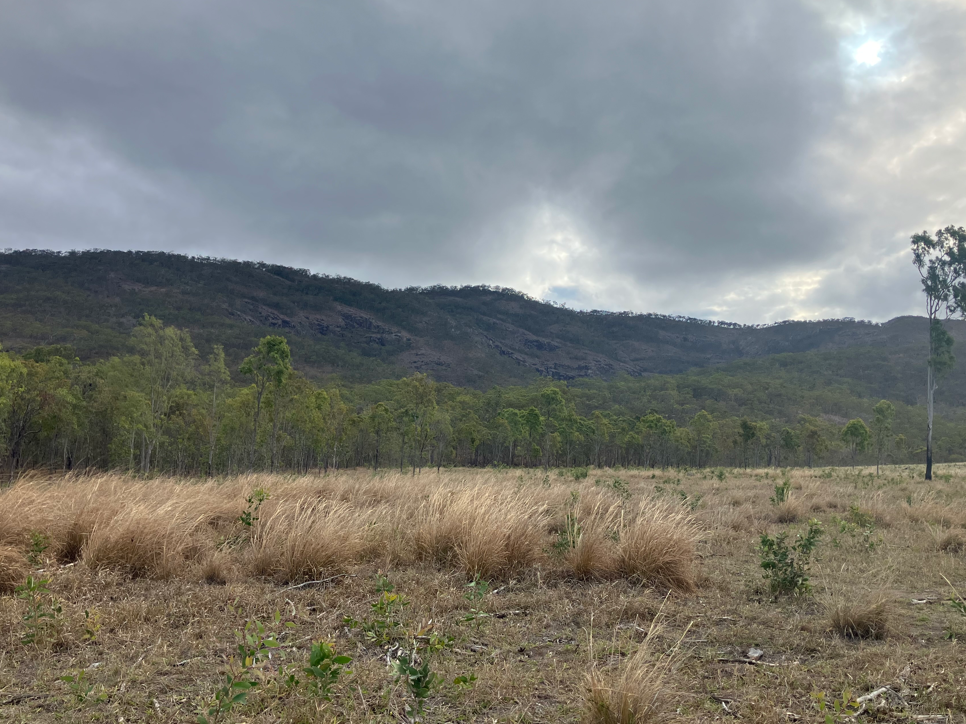 , , QLD property photo