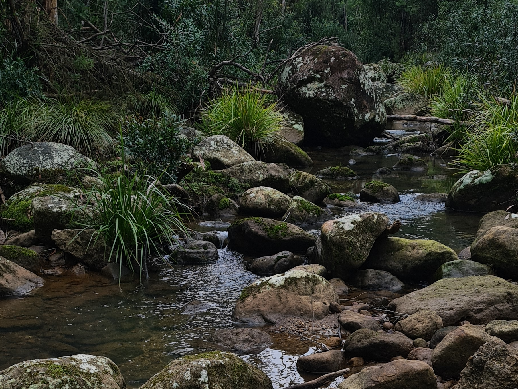 , , NSW property photo