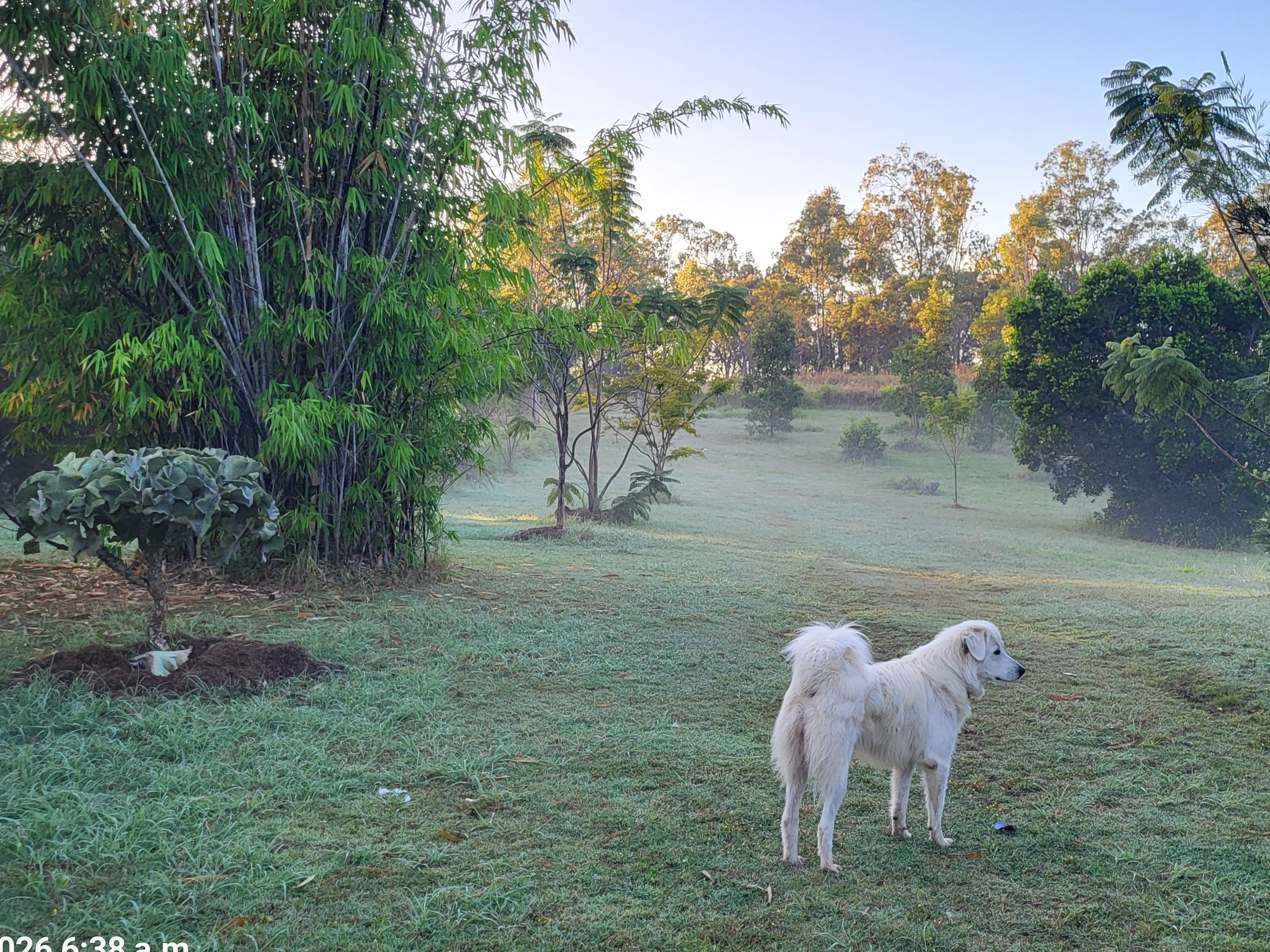 401 Ferry Road, 401 Ferry Road, QLD property photo