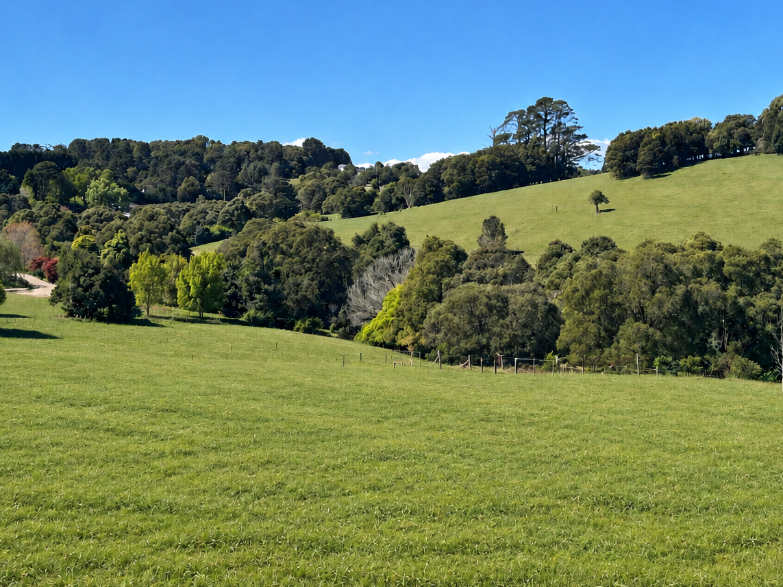 , , NSW property photo