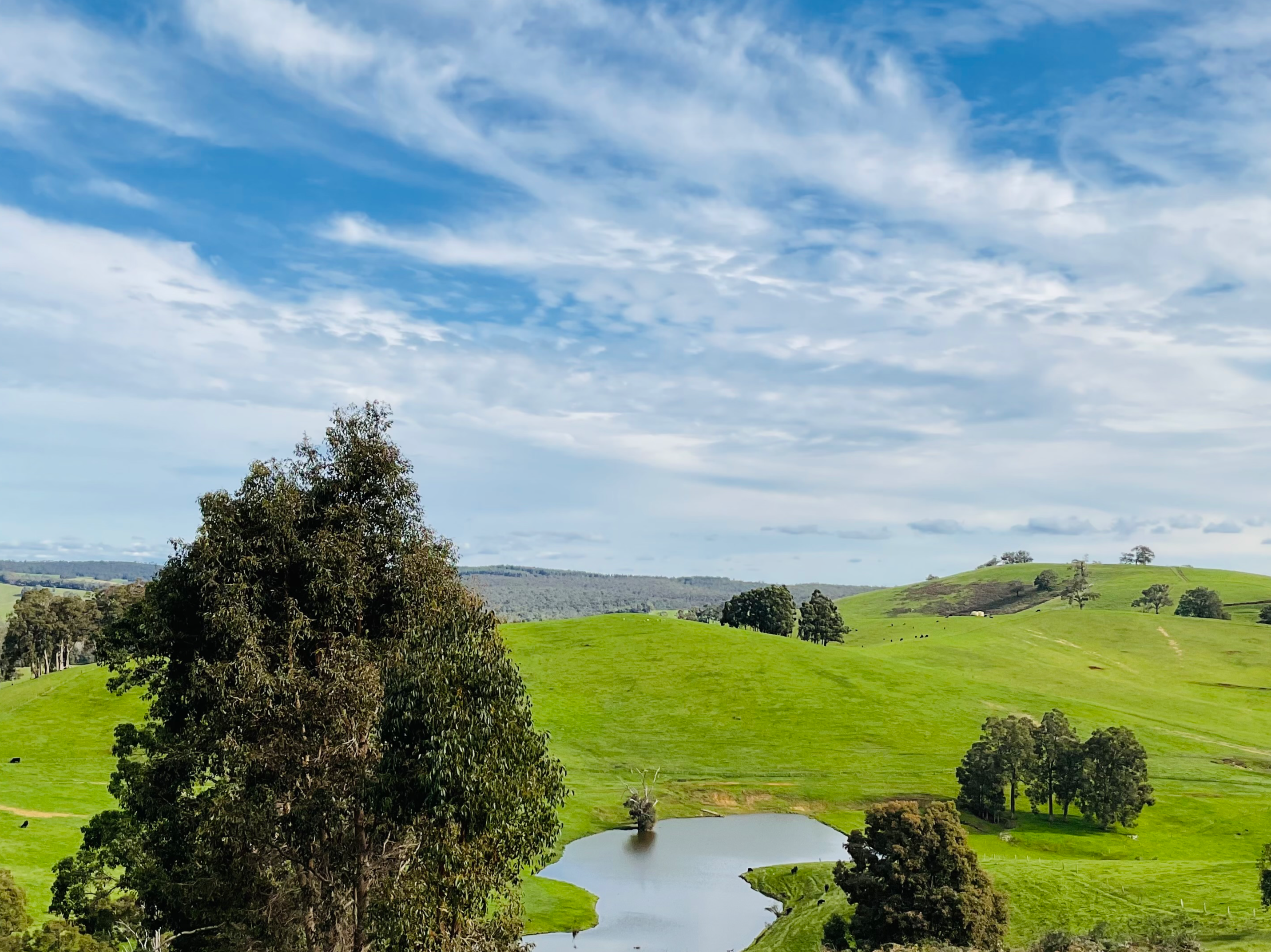 Lot 10 Nieuwenhuyze Road, Lot 10 Nieuwenhuyze Road, WA property photo