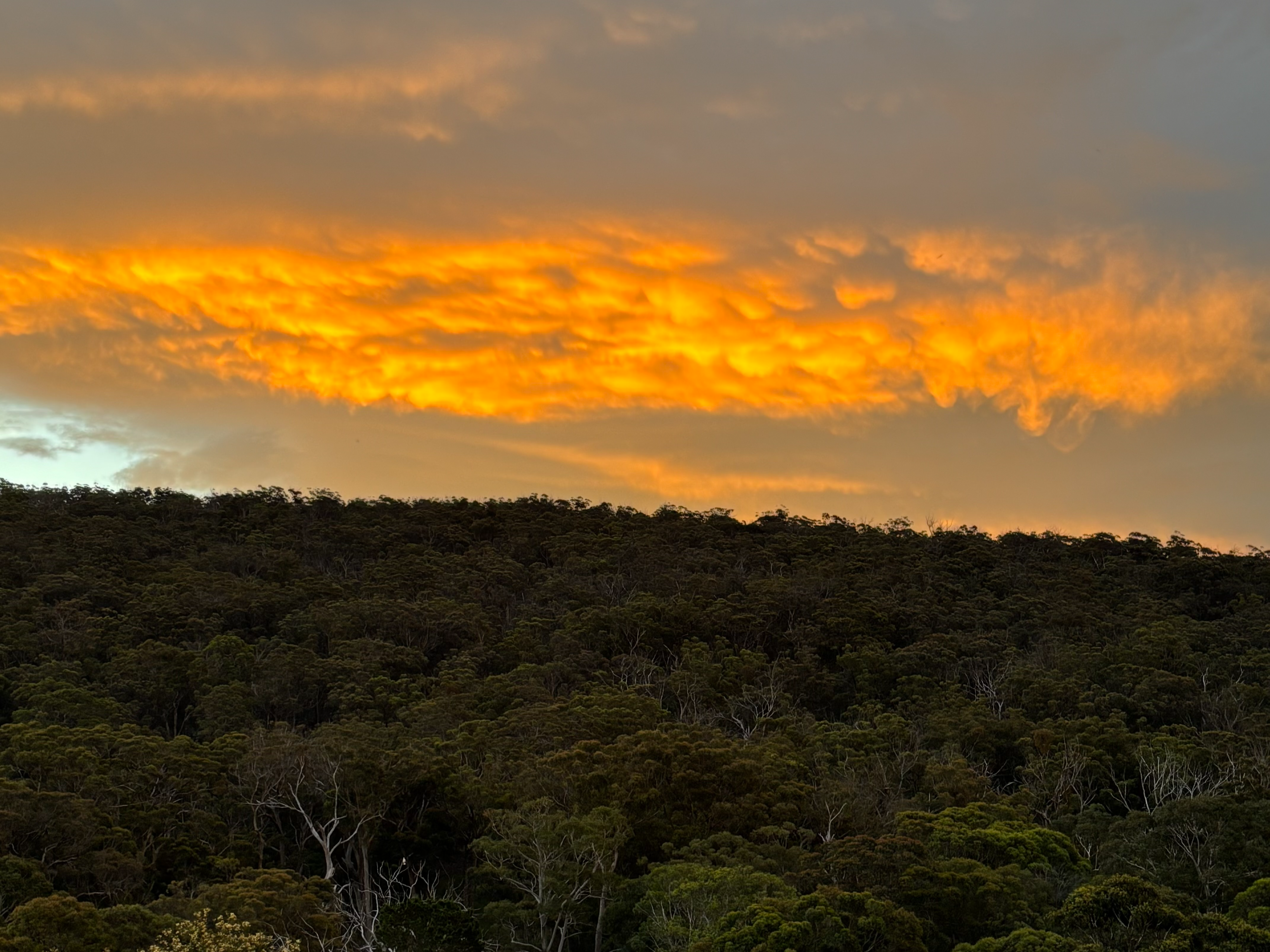 , , NSW property photo