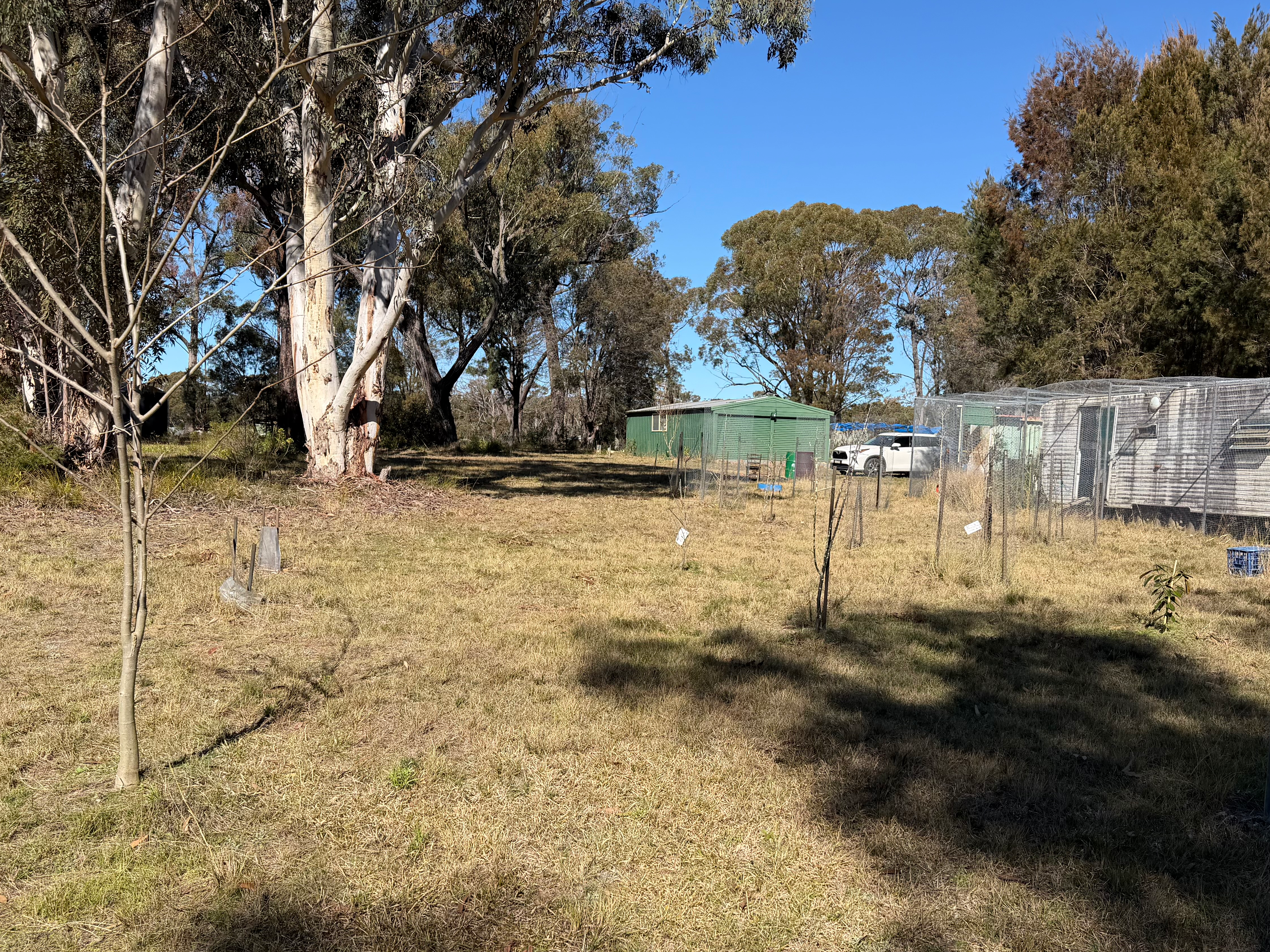 6 Alpine Road, 6 Alpine Road, NSW property photo