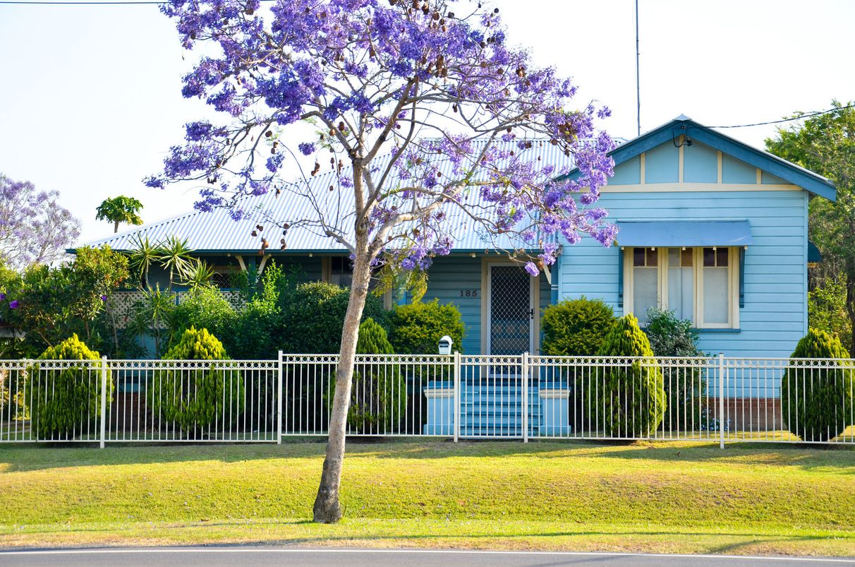 BUY 185 Dobie Street, Grafton, NSW 2460 House for Sale buymyplace