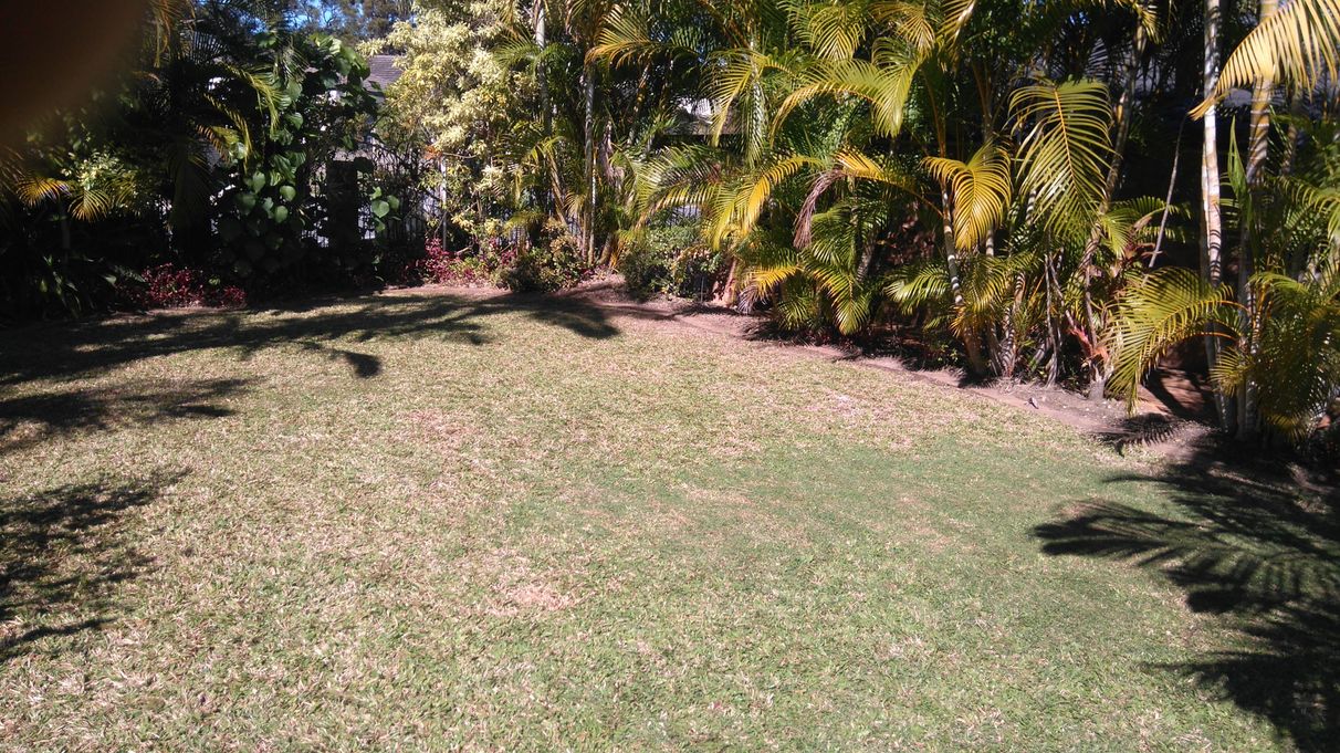 BUY 325 Ron Penhaligon Way, Robina, QLD 4226 House for Sale buymyplace