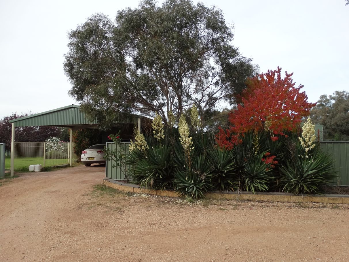 BUY 74 Long Street, Trundle, NSW 2875 House for Sale buymyplace