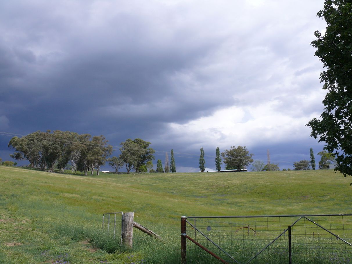 BUY 21 Fell Timber Road, Carcoar, NSW 2791 House for Sale buymyplace