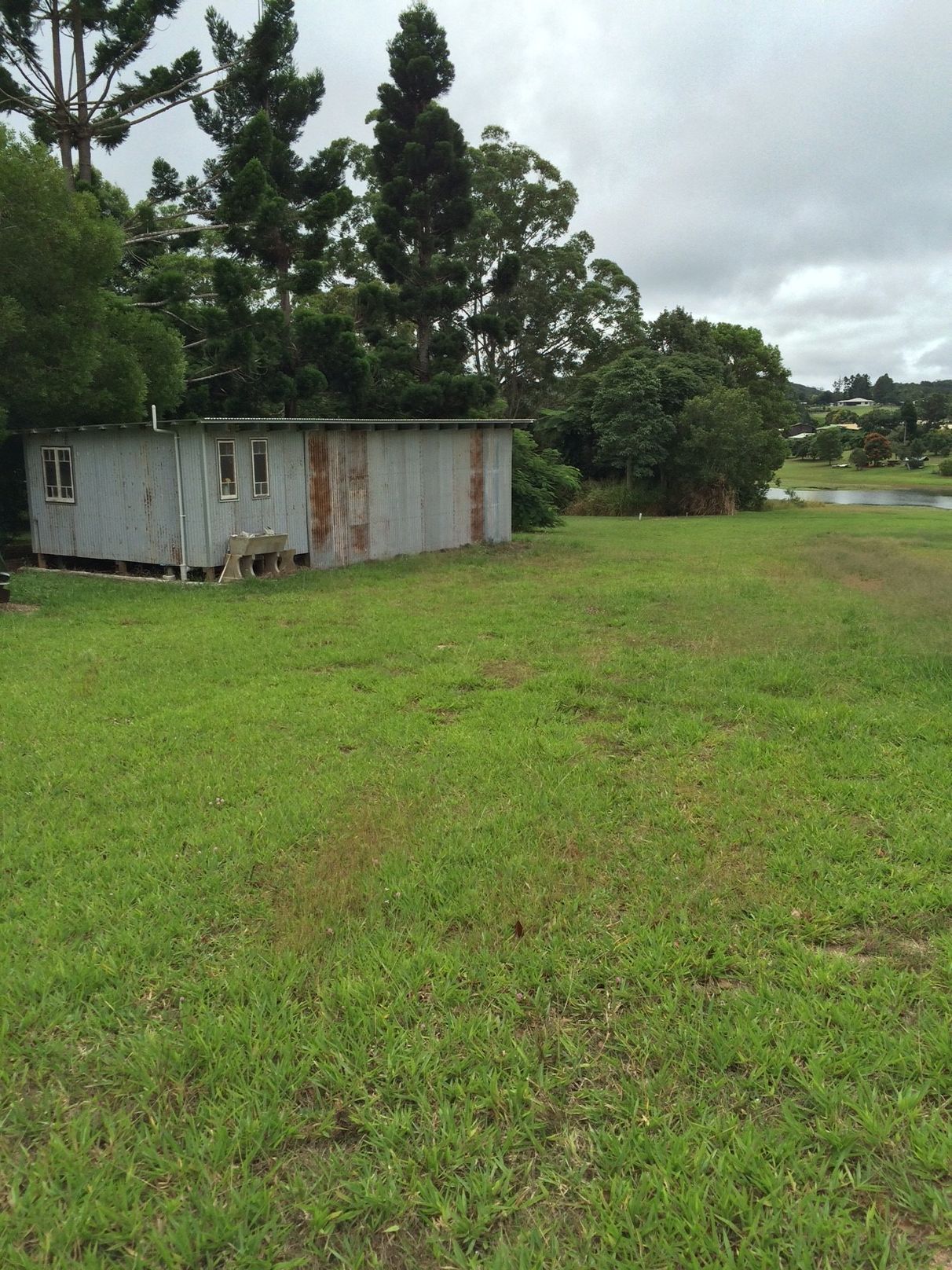 BUY 8 Williams Avenue, Yungaburra, QLD 4884 House for Sale buymyplace