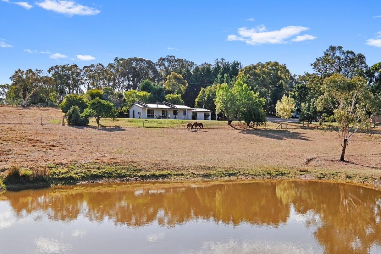 BUY 99 Back Creek road, Yackandandah, VIC 3749 House for Sale buymyplace