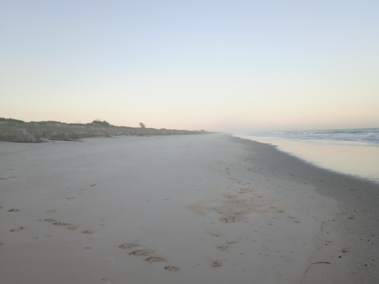 BUY Lot 6 Moylans Lane, Empire Vale, NSW 2478 House for Sale