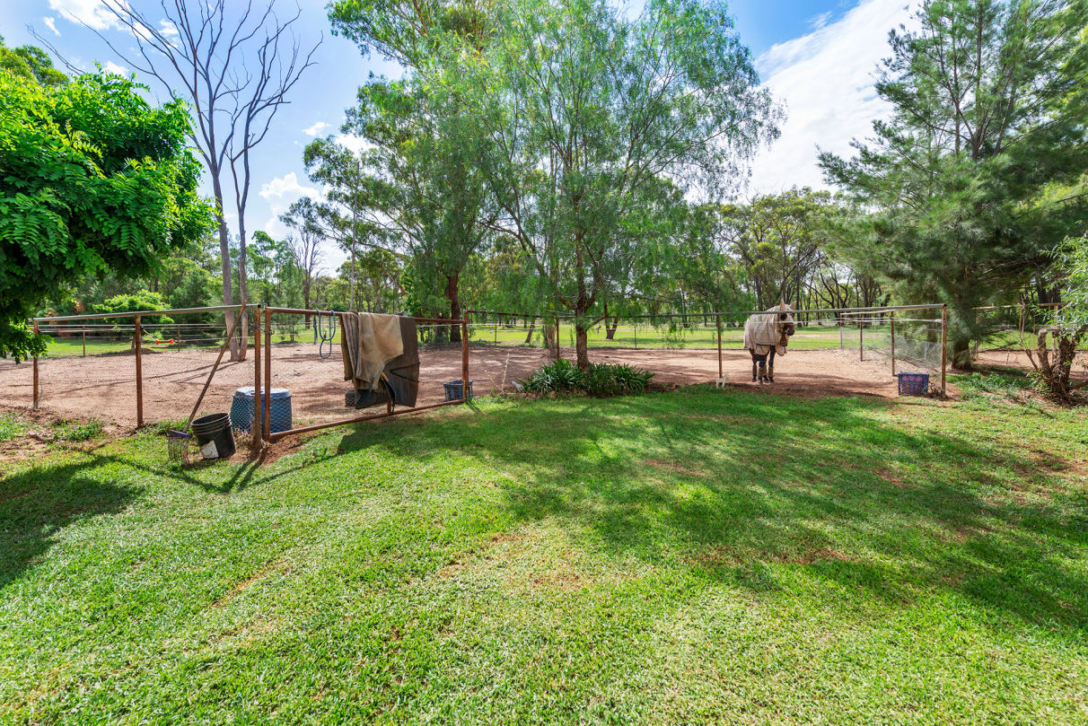 BUY 115 Wentworth Avenue, Coolah, NSW 2843 House for Sale buymyplace