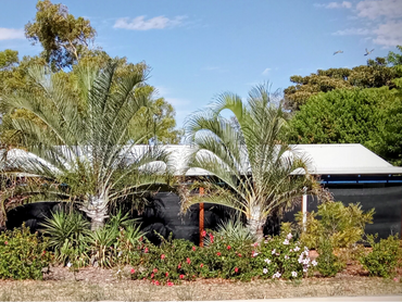 , , WA property photo