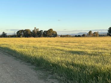 68 Docker-Greta West Road, 68 Docker-Greta West Road, VIC property photo