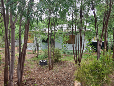 58 Hood Street, 58 Hood Street, NSW property photo