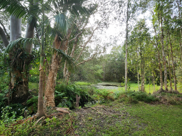 , , NSW property photo