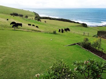 100 Headland Drive, 100 Headland Drive, NSW property photo