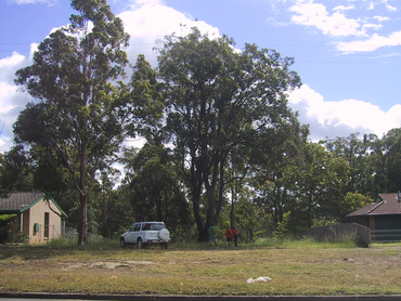 114 Middleton Street, 114 Middleton Street, NSW property photo