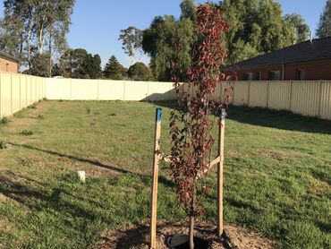 28  Forbes Court, 28  Forbes Court, VIC property photo