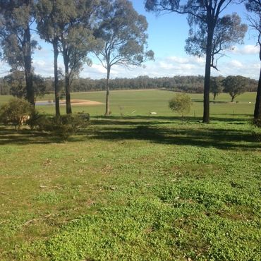 80  FOREST ROAD, 80  FOREST ROAD, VIC property photo