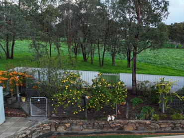 3 Old Mooliabeenee Road, 3 Old Mooliabeenee Road, WA property photo