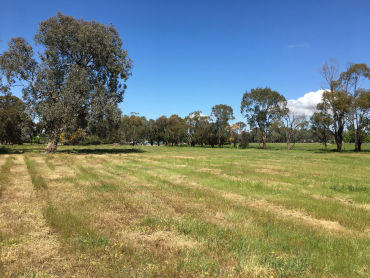 45 Clarkes Lane, 45 Clarkes Lane, VIC property photo