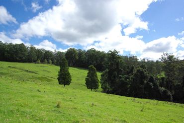Lot 12  Schultz Road, Lot 12  Schultz Road, NSW property photo