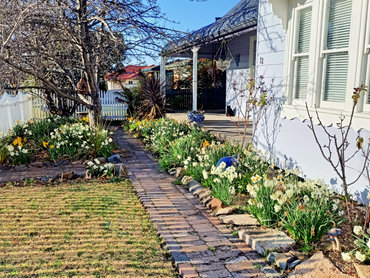 12 John Street, 12 John Street, NSW property photo