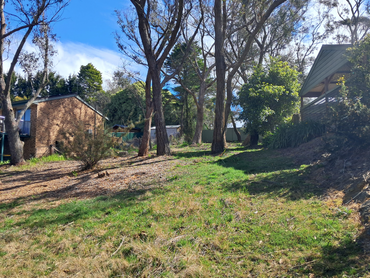 40 Banksia Road, 40 Banksia Road, NSW property photo