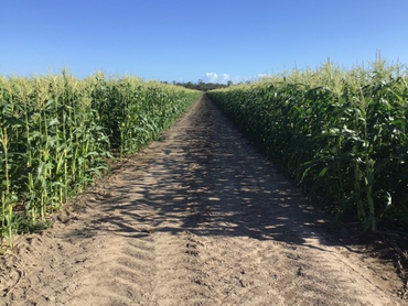 , , QLD property photo