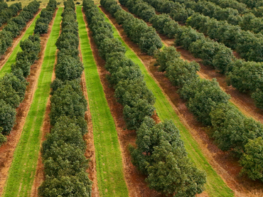 , , QLD property photo