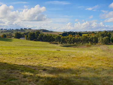 Lot 4 Wheeo Road, Lot 4 Wheeo Road, NSW property photo