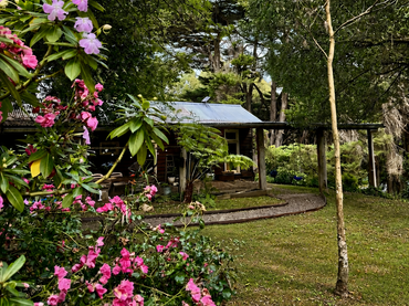 905 Forrest-Apollo Bay Road, 905 Forrest-Apollo Bay Road, VIC property photo