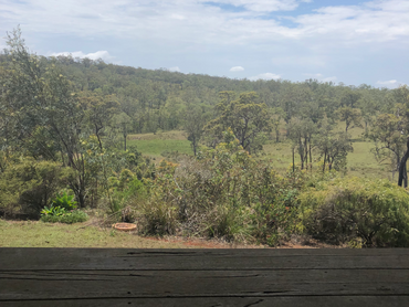 2071 Mount Fox Road, 2071 Mount Fox Road, QLD property photo
