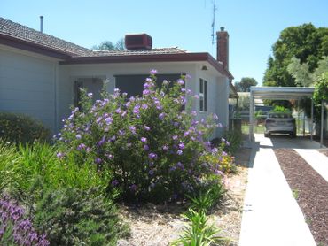 19  Dunrobin Street, 19  Dunrobin Street, VIC property photo