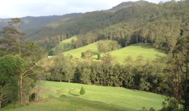 205  Gerringong Creek Road, 205  Gerringong Creek Road, NSW property photo