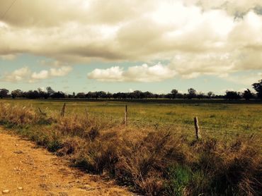 Lot 402 Punrak Rd, Lot 402 Punrak Rd, WA property photo