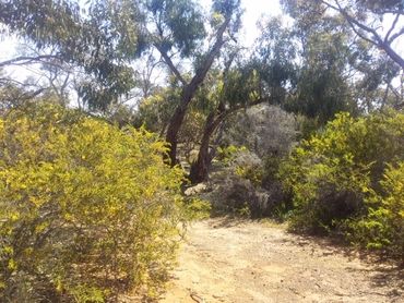 Lot 4 Donald-Stawell Road, Lot 4 Donald-Stawell Road, VIC property photo