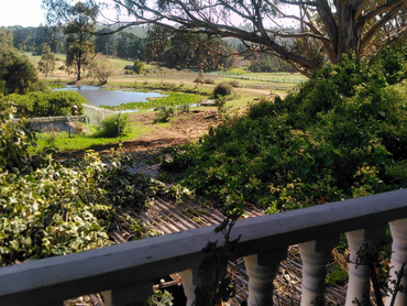 550 Moorooduc Highway, 550 Moorooduc Highway, VIC property photo