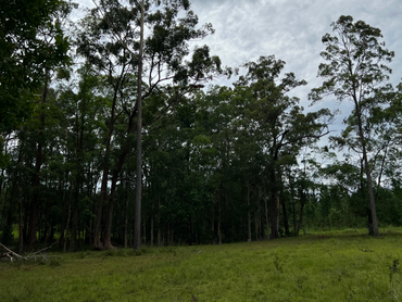 72 Peterson Road, 72 Peterson Road, QLD property photo