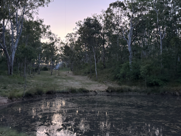 , , NSW property photo