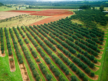 , , QLD property photo
