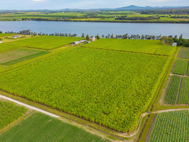 45 River Road East, 45 River Road East, NSW property photo