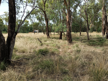 41 Burley Griffin Way, 41 Burley Griffin Way, NSW property photo