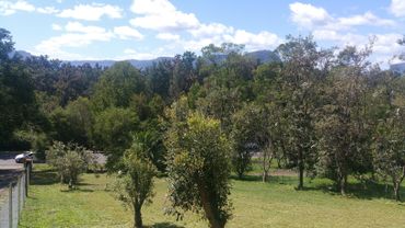 102a Moss Vale Rd, 102a Moss Vale Rd, NSW property photo