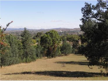 766 Manilla Road, 766 Manilla Road, NSW property photo