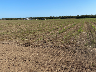 , , QLD property photo