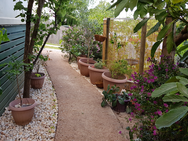 36 Burton Street, 36 Burton Street, VIC property photo