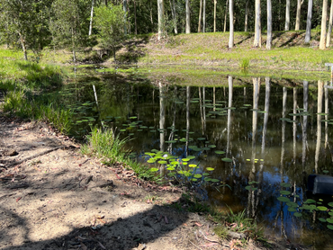 72 Peterson Road, 72 Peterson Road, QLD property photo