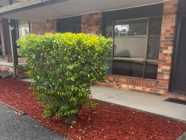 13 Summerville Street, 13 Summerville Street, NSW property photo